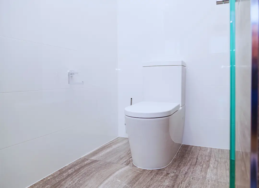 Remplacement de wc Nort-sur-Erdre