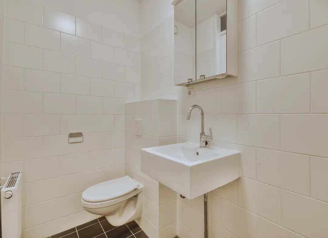 Pose WC Suspendu Nort-sur-Erdre